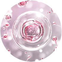 콜라겐 재생 촉진